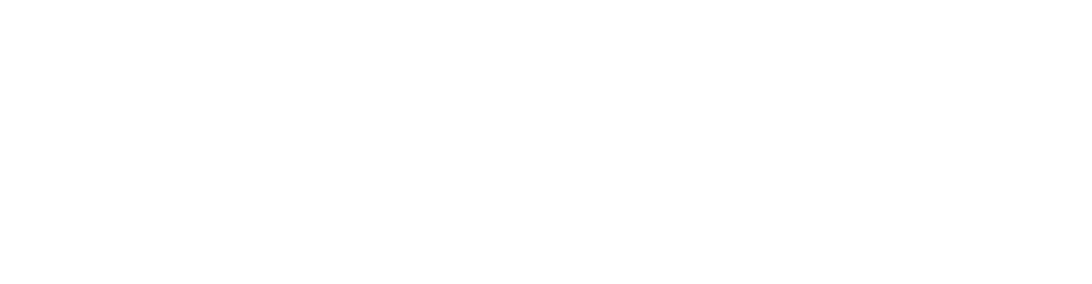 莱思集团logo -W 拷贝